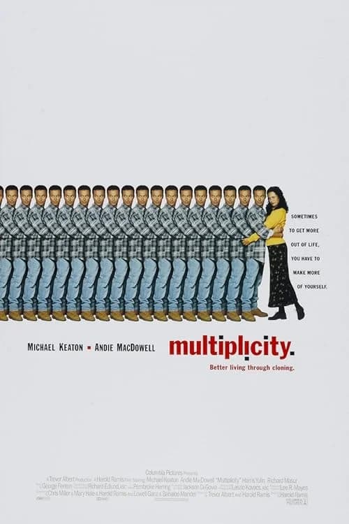 Multiplicity film posteri